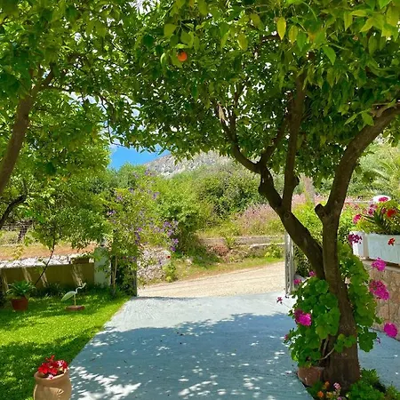 Tatil Evi Thalia's Place