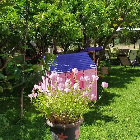 Thalia's Place Tatil Evi