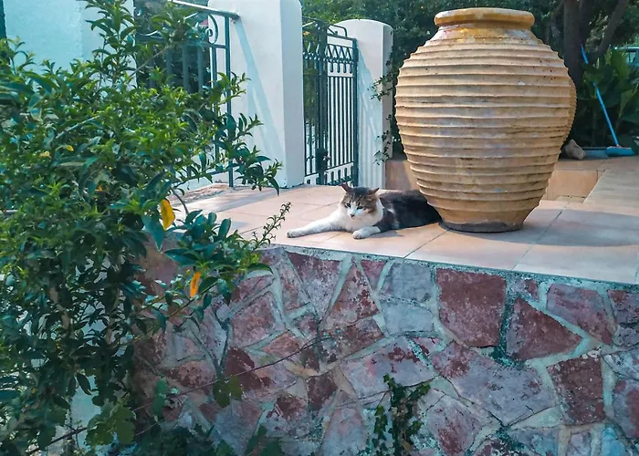 Casa de Férias Thalia's Place Katelios